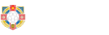 足球直播